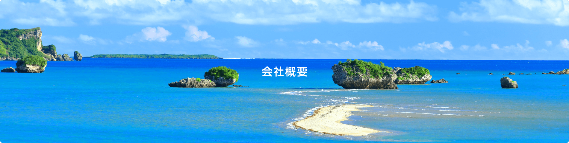 会社概要